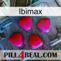 Ibimax 13